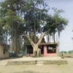 सार्वजनिक ठिकाणी बसण्याची सुविधा