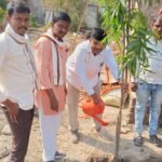 वृक्षलागवड व संवर्धन उपक्रम